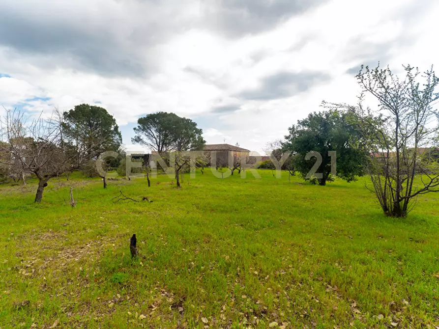 Immagine 39 di Casa indipendente in vendita  in Via Armando Diaz 262 a Zafferana Etnea