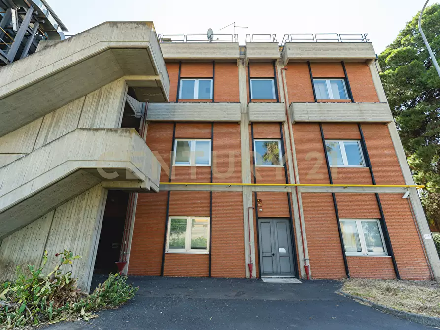 Immagine 14 di Attività artigianale in vendita  in Strada III Mimosa 14 a Catania