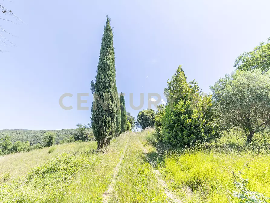 Immagine 31 di Rustico / casale in vendita  in Via Tiberina 384 a Narni