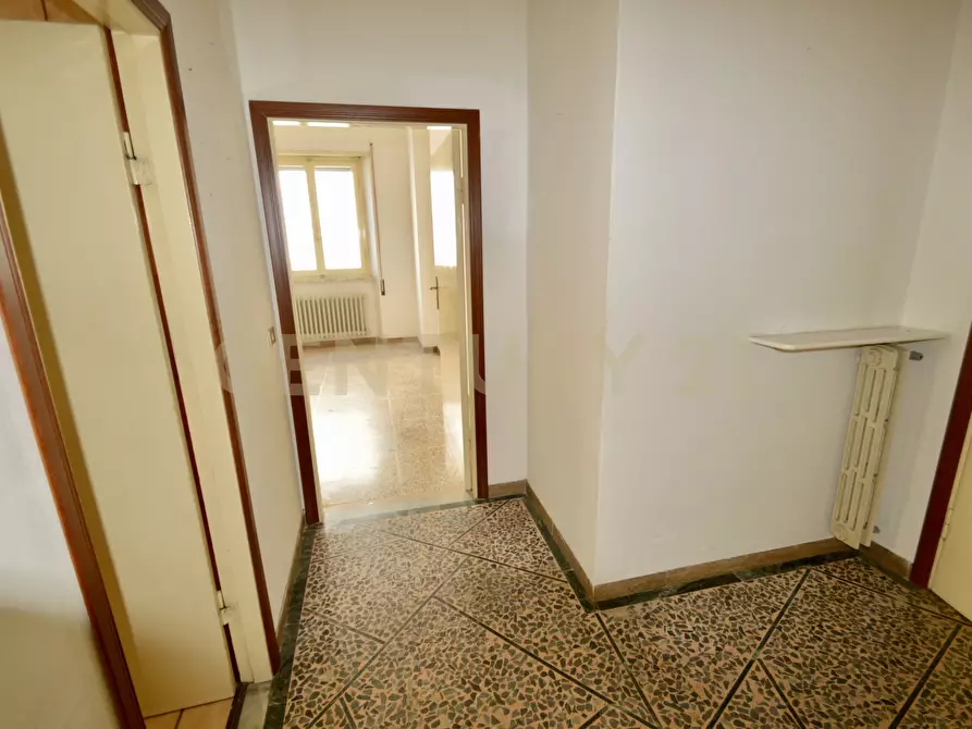 Immagine 38 di Appartamento in vendita  a Grosseto