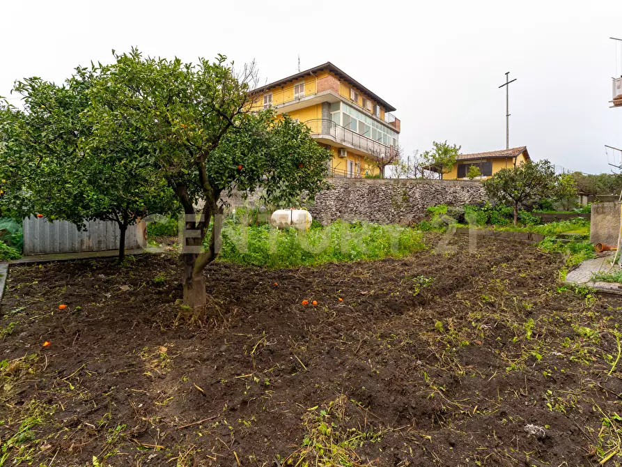 Immagine 17 di Villa in vendita  in Via Carmelina Naselli 51 a Catania