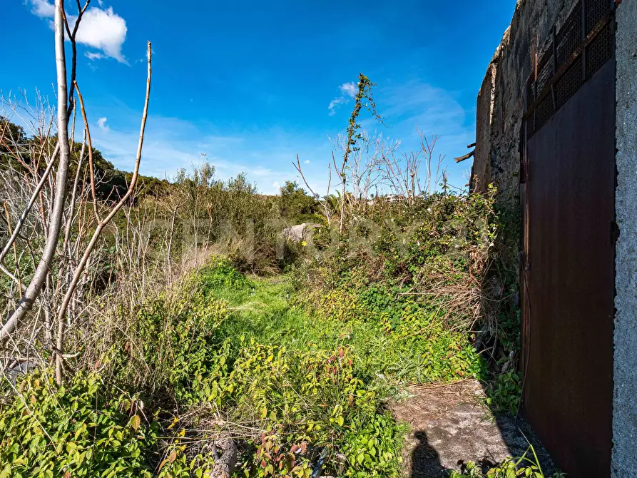 Immagine 29 di Terreno agricolo in vendita  in Via Vampolieri a Aci Castello