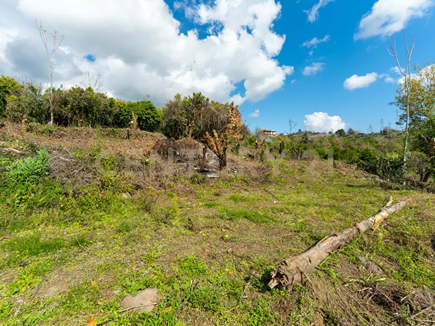 Immagine 11 di Terreno agricolo in vendita  in via giuseppe zinghirino 1 a Giarre