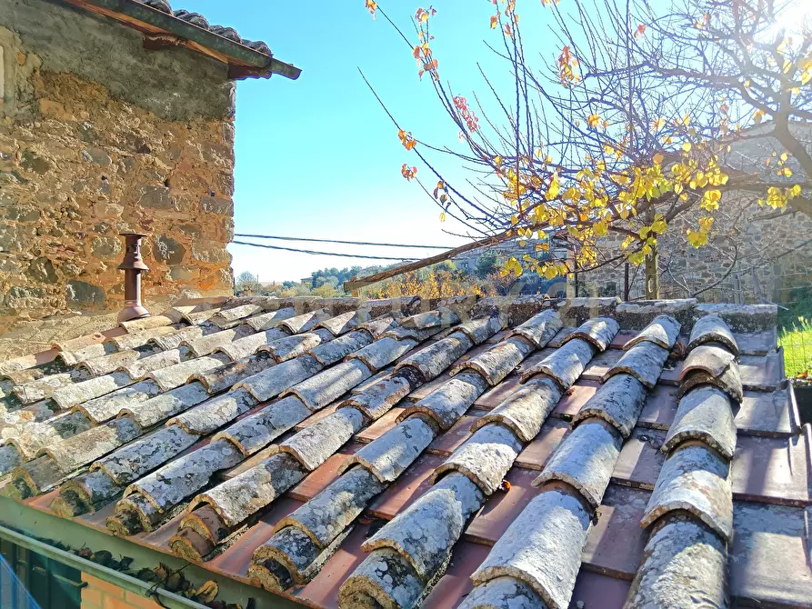 Immagine 25 di Terratetto in vendita  in Via Moglio 56 a Montalcino