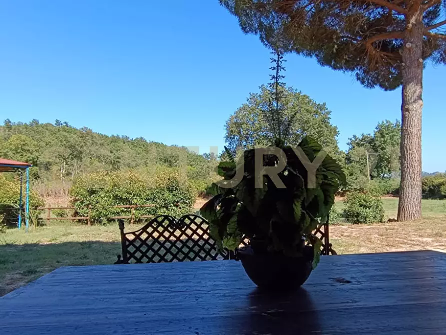 Immagine 24 di Rustico / casale in vendita  a Manciano