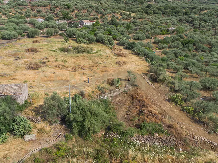 Immagine 6 di Terreno agricolo in vendita  in Via San Leo a Adrano