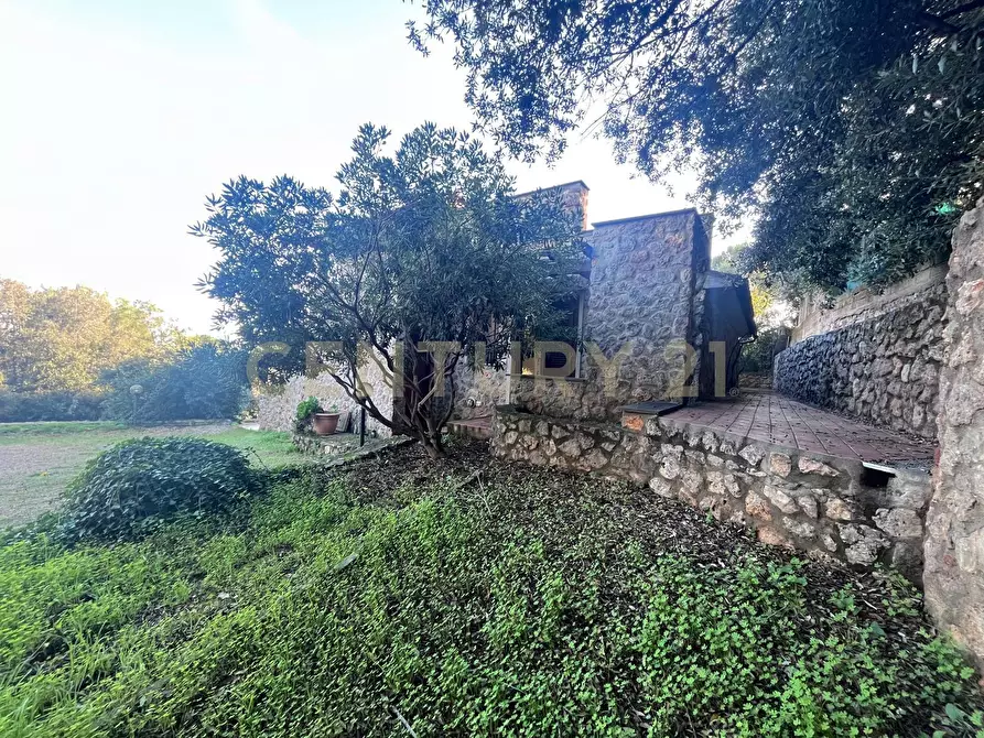 Immagine 45 di Villa in vendita  in Via delle Ginestre 80 a Orbetello