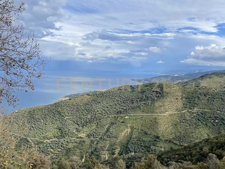 Immagine 67 di Attività artigianale in vendita  in Via Santisi a Motta D'affermo