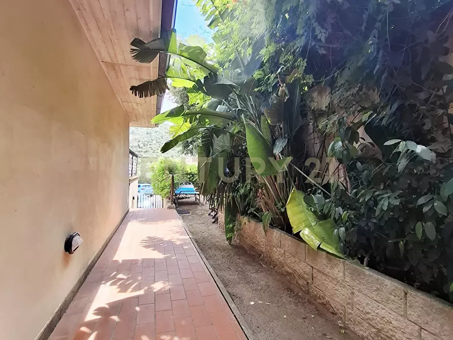 Immagine 34 di Monolocale in vendita  in Strada Vicinale del Grottino a Monte Argentario