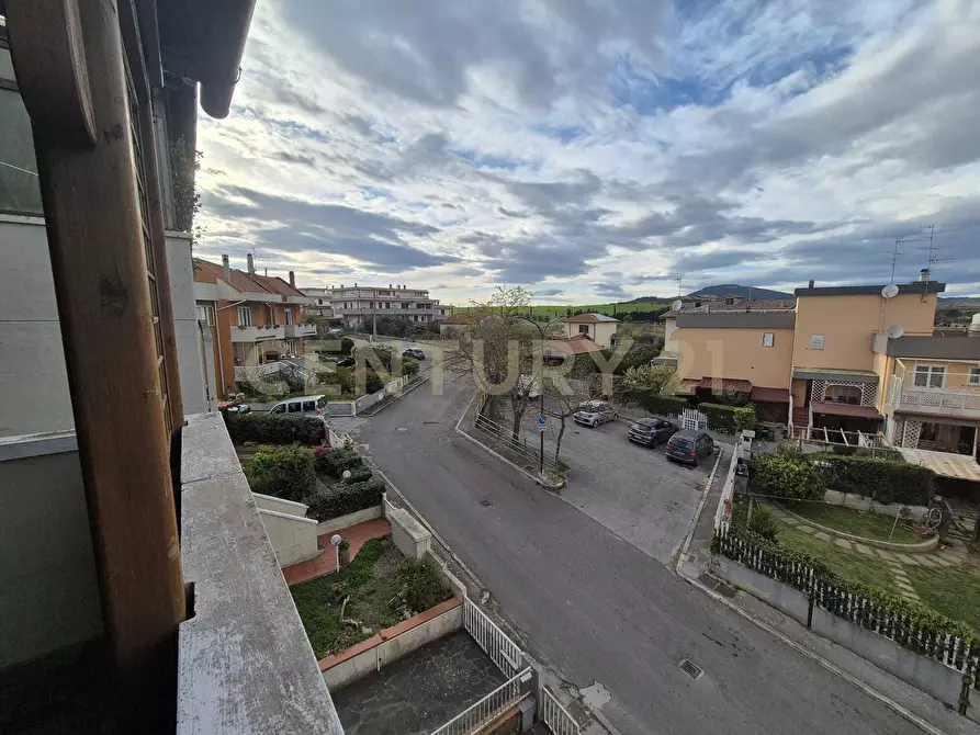 Immagine 43 di Terratetto in vendita  in via fratelli matteini 9 a Grosseto