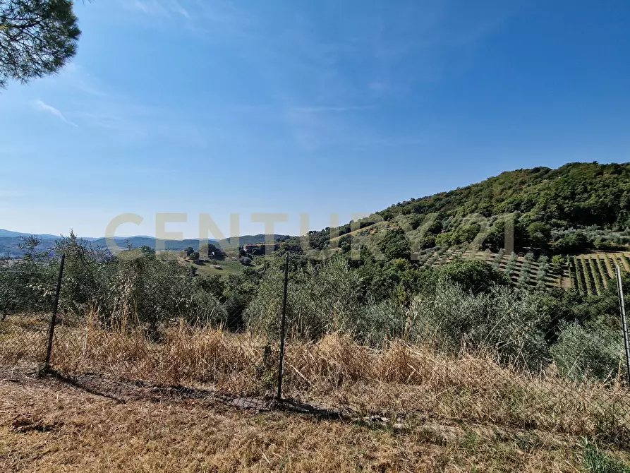 Immagine 21 di Rustico / casale in vendita  in Strada Provinciale Voltina 12 a Cinigiano