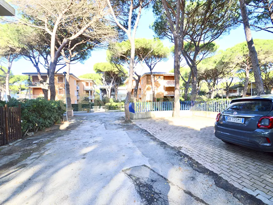 Immagine 4 di Bilocale in vendita  in Via dello Storione 88 a Grosseto
