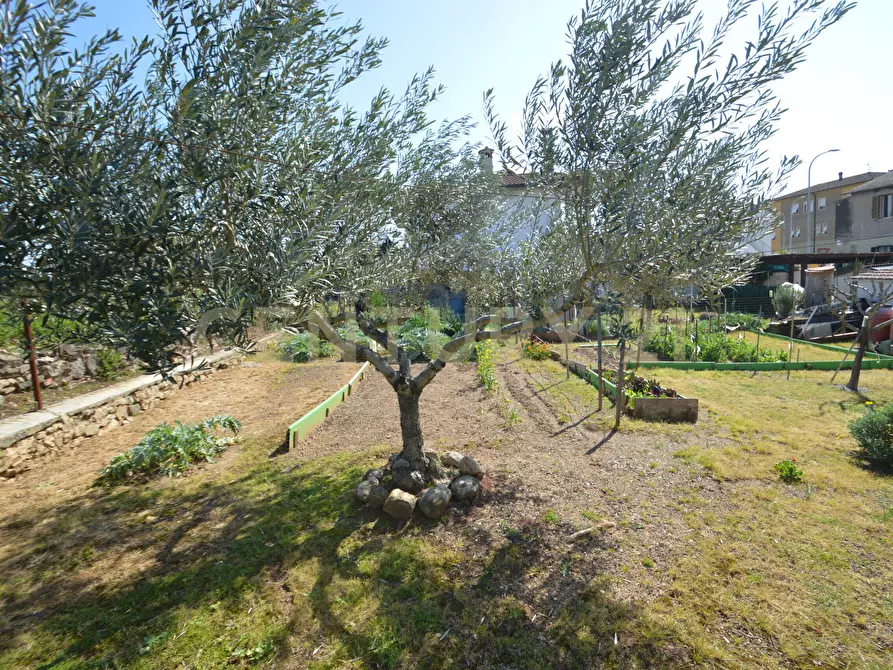 Immagine 36 di Porzione di casa in vendita  in Via delle Case Nuove 1 a Roccastrada