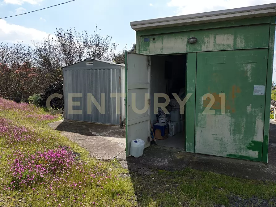 Immagine 13 di Terreno agricolo in vendita  in Contrada malvezzaro a Santa Maria Di Licodia