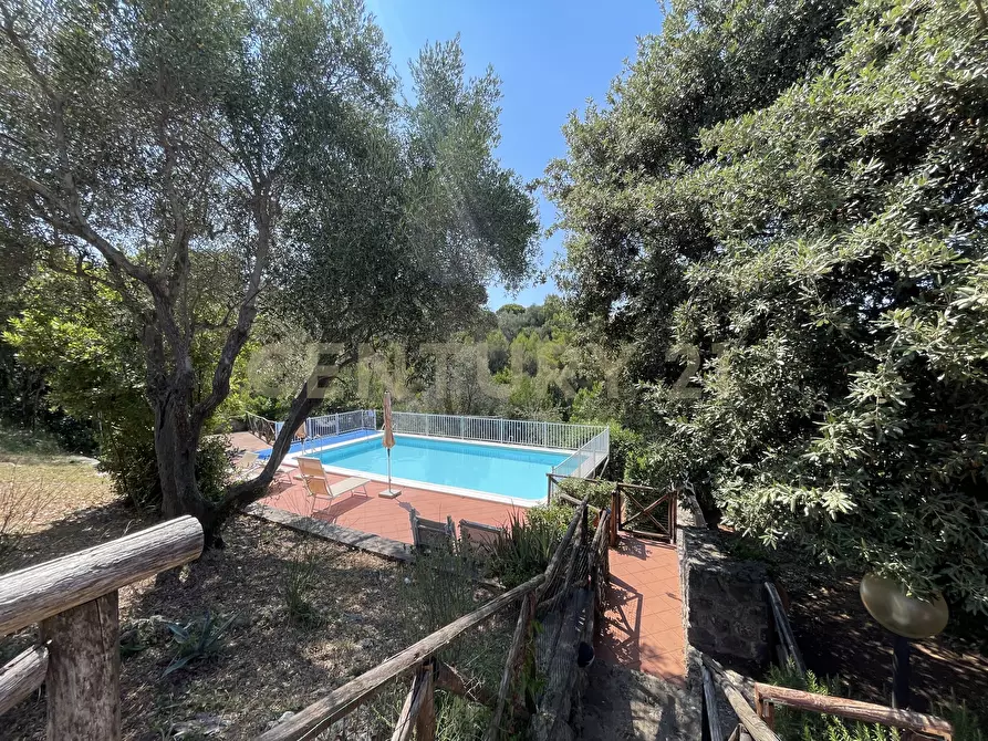 Immagine 45 di Trilocale in vendita  in Via della cacciarella a Monte Argentario