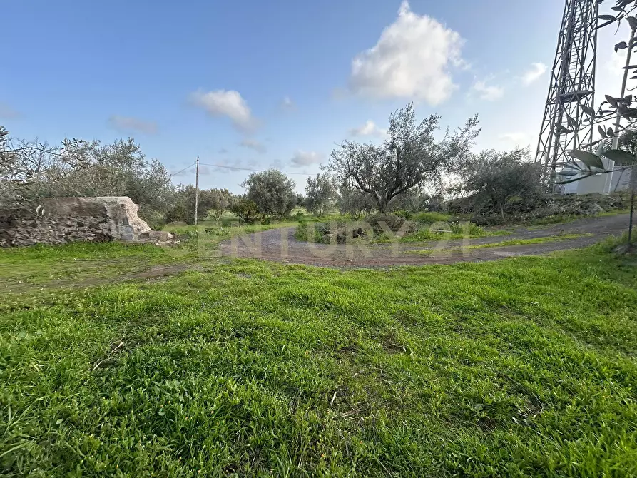 Immagine 23 di Terreno agricolo in vendita  in Via Giovanni Verga 1/A a Misterbianco