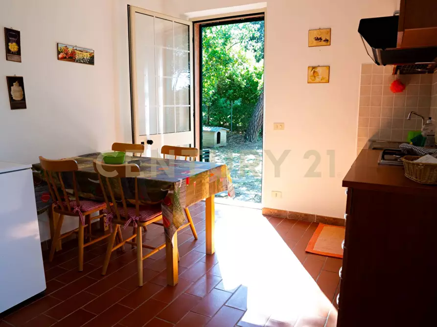 Immagine 32 di Rustico / casale in vendita  a Cinigiano