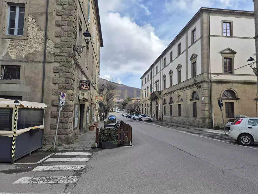 Immagine 44 di Attico in vendita  in Via Isidoro Maggi a Arcidosso