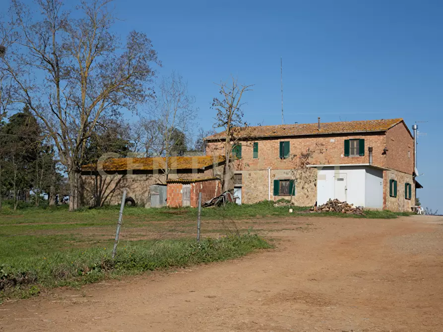 Immagine 2 di Terreno agricolo in vendita  in località santa rosalia snc a Civitella Paganico
