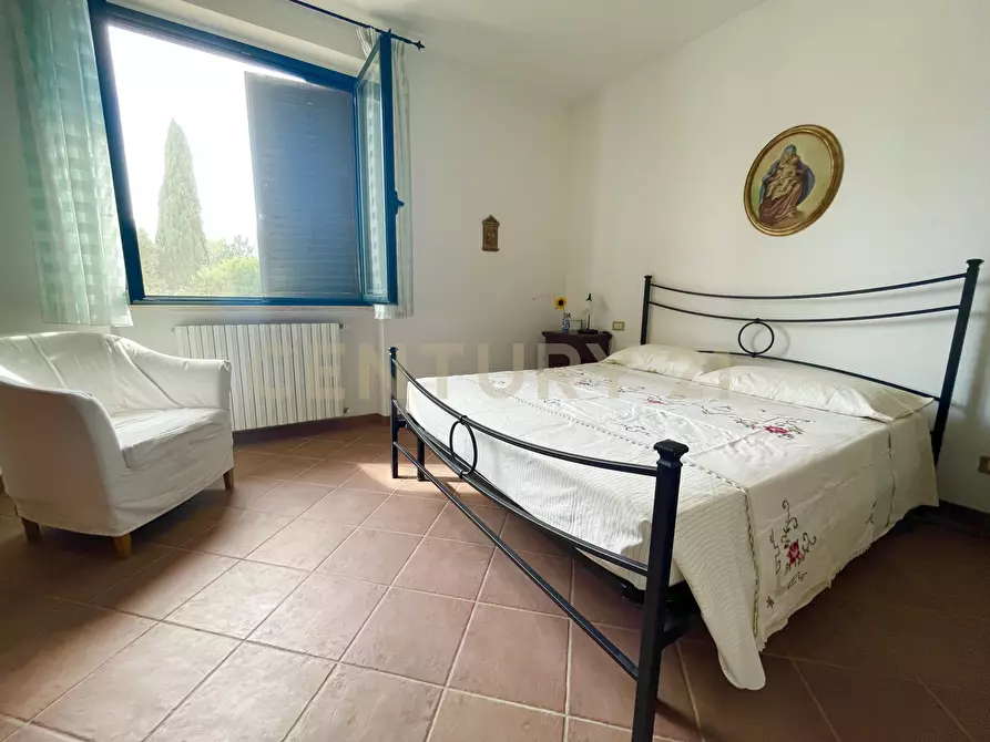 Immagine 30 di Azienda agricola in vendita  in località colle di lupo a Magliano In Toscana