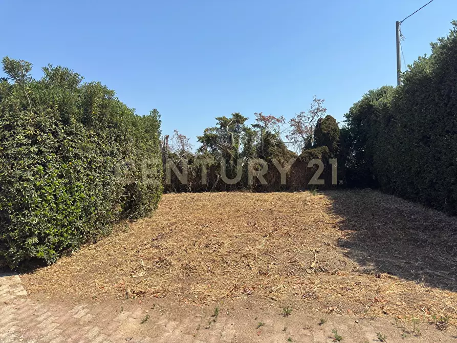 Immagine 6 di Villa in vendita  in Via Blanco 4 a Siracusa