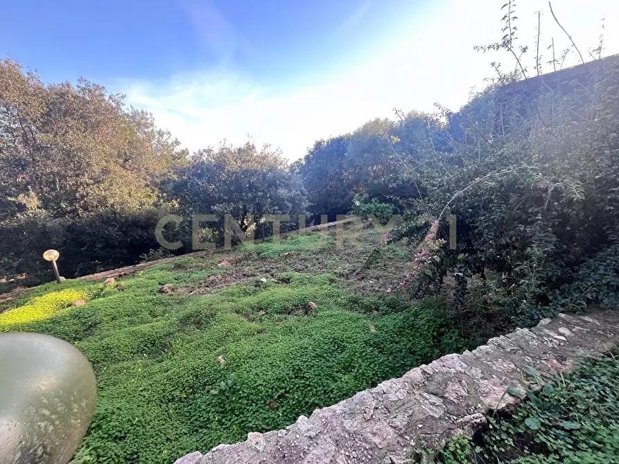 Immagine 49 di Villa in vendita  in Via delle Ginestre 80 a Orbetello