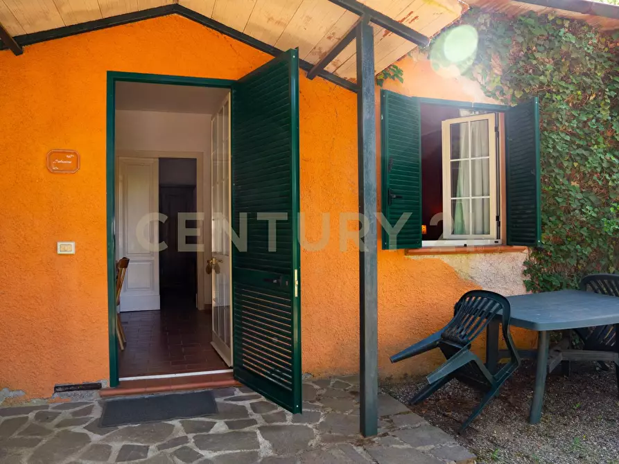 Immagine 40 di Rustico / casale in vendita  a Cinigiano