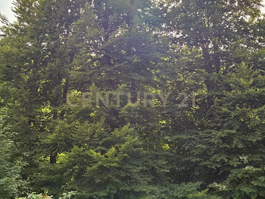Immagine 7 di Casa indipendente in vendita  in Via morbano a Cappadocia
