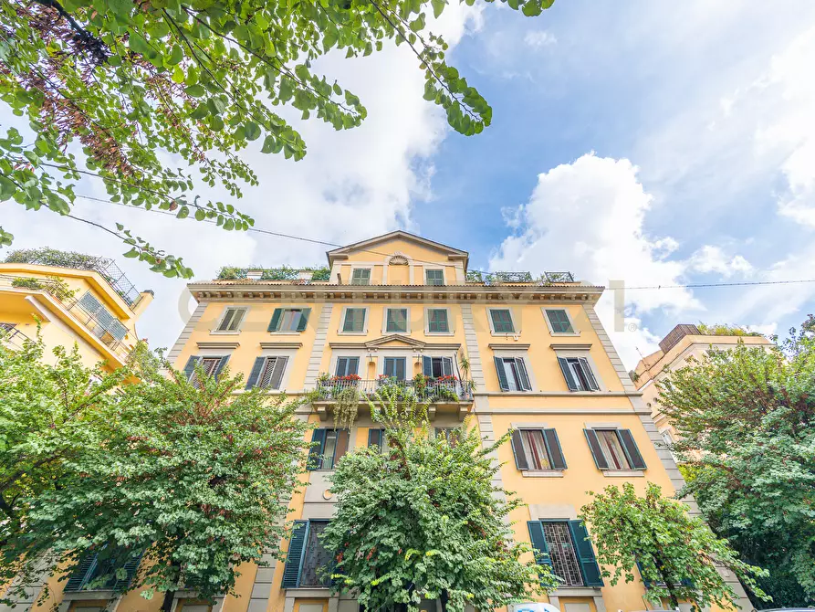 Immagine 52 di Pentalocale in affitto  in Via Tronto 18 a Roma