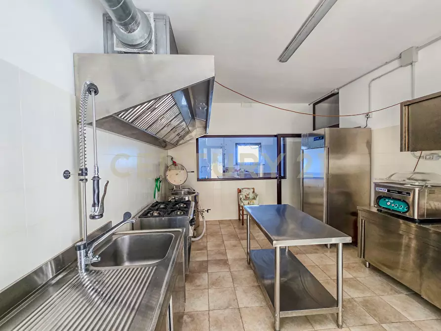 Immagine 9 di Villa in vendita  in località le coste a Roccastrada