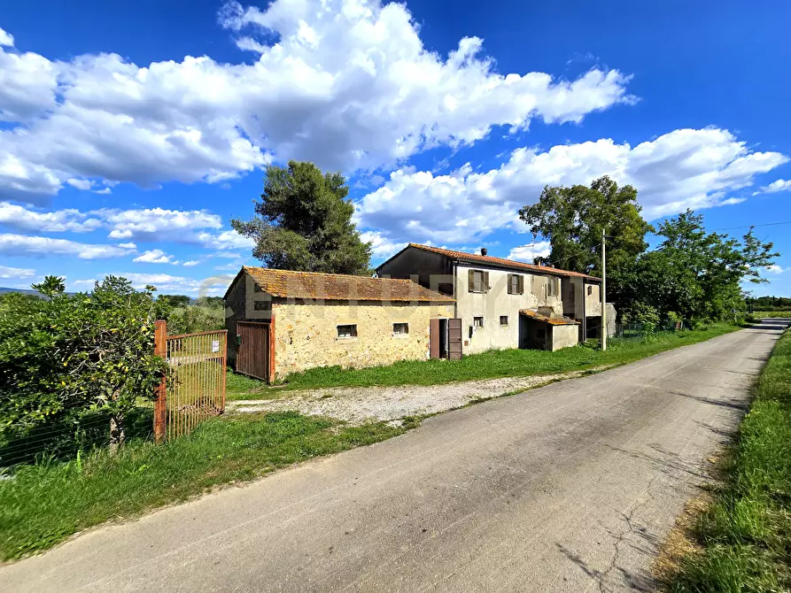 Immagine 4 di Casa indipendente in vendita  in Località Vaticino 11 a Castiglione Della Pescaia