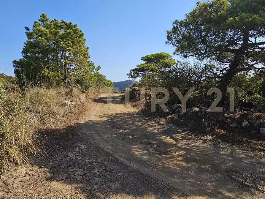 Immagine 17 di Casa indipendente in vendita  in Vicolo del Tufo 12 a Pantelleria