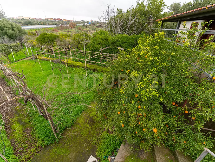 Immagine 73 di Villa in vendita  in Via delle Camelie 20 a Misterbianco