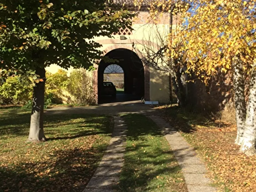 Immagine 21 di Rustico / casale in vendita  in pomara a Commessaggio