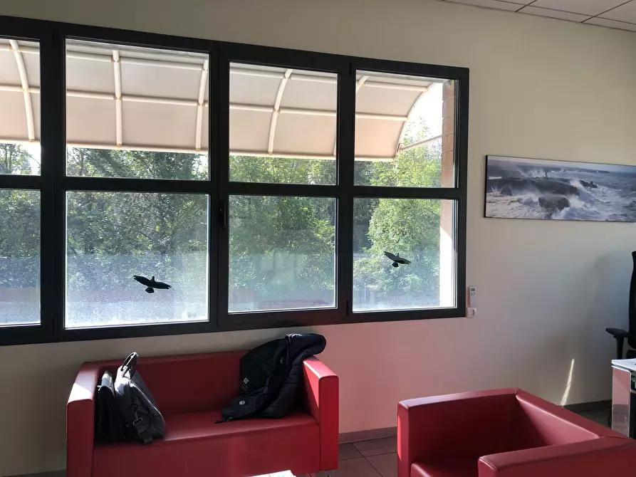 Immagine 7 di Capannone industriale in affitto  a Parma