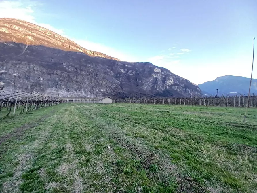 Immagine 3 di Magazzino in vendita  a Aldeno