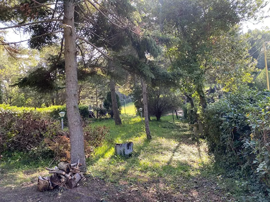 Immagine 26 di Rustico / casale in vendita  in Massignano a Ancona