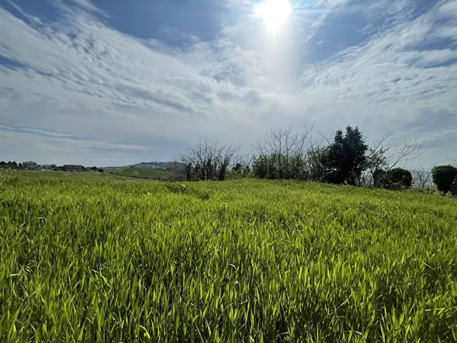 Immagine 12 di Rustico / casale in vendita  in Frazione Poggio a Ancona