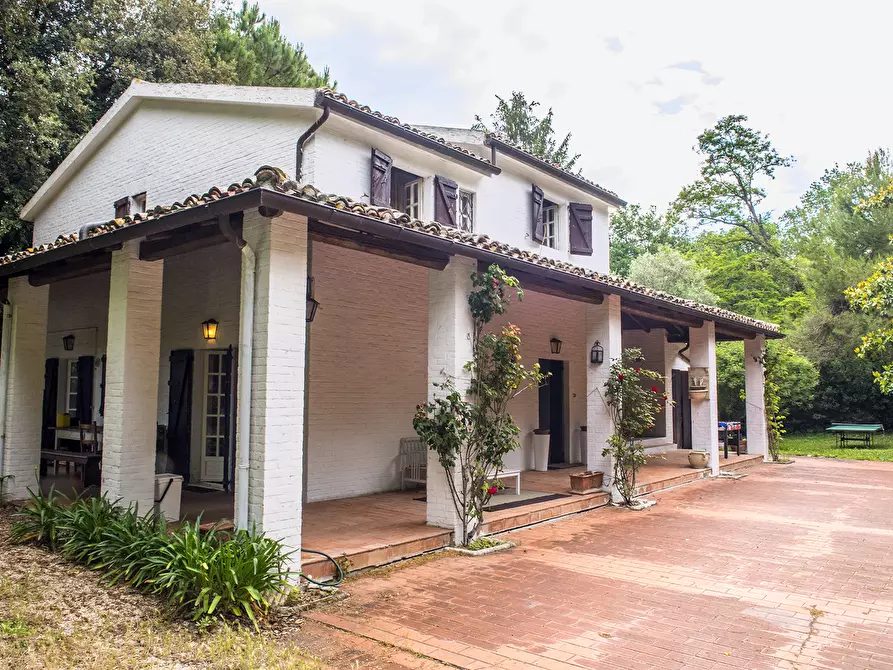 Immagine 50 di Rustico / casale in vendita  in OFFAGNA a Offagna