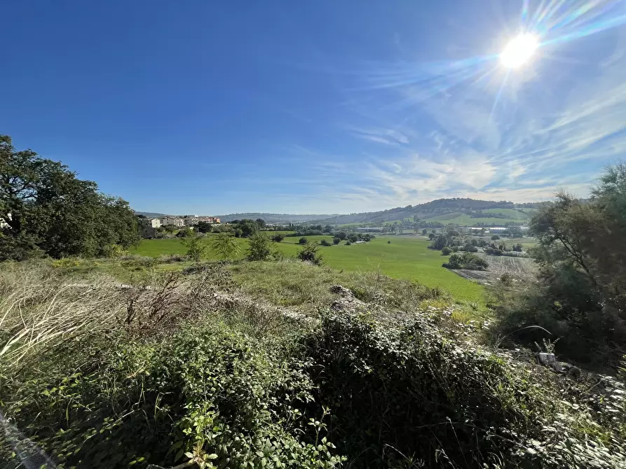 Immagine 34 di Rustico / casale in vendita  in via abbadia a Osimo