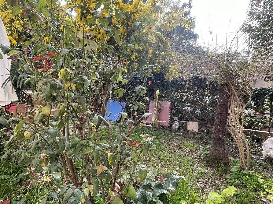 Immagine 2 di Appartamento in vendita  in Via damiano chiesa a Ancona