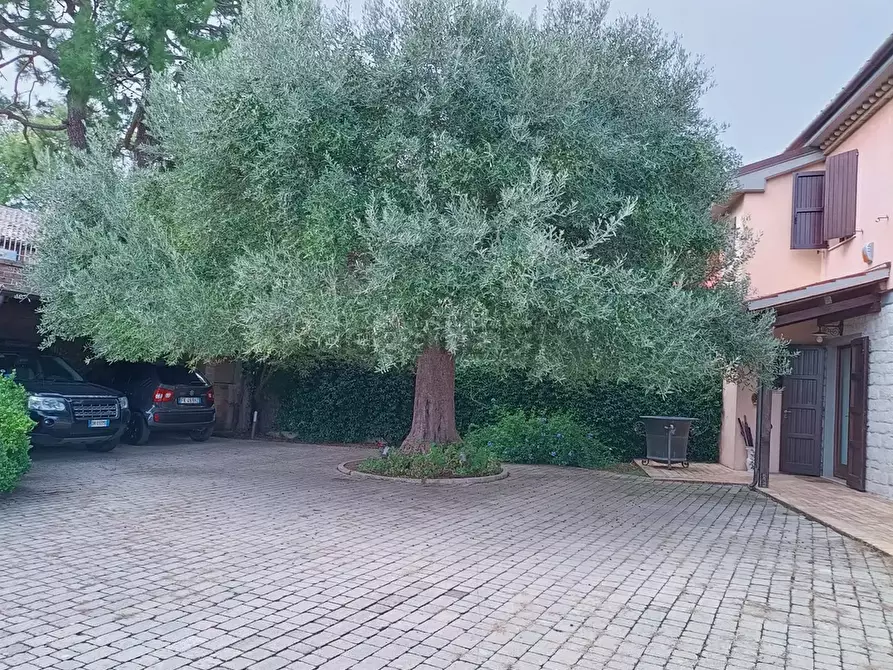 Immagine 33 di Villa in vendita  in Coppo a Sirolo