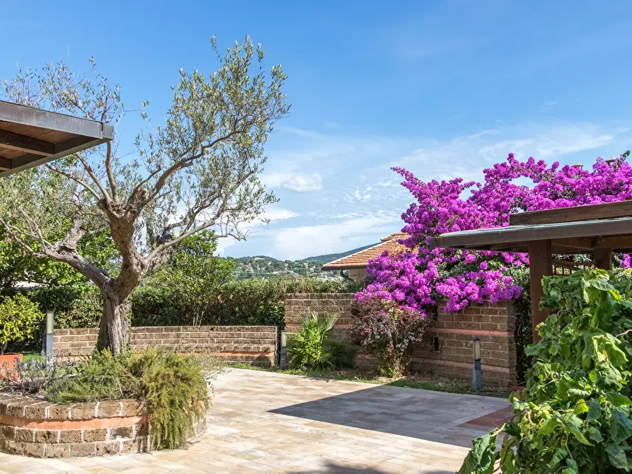 Immagine 21 di Villa in affitto  in Via ISCHIA a Numana