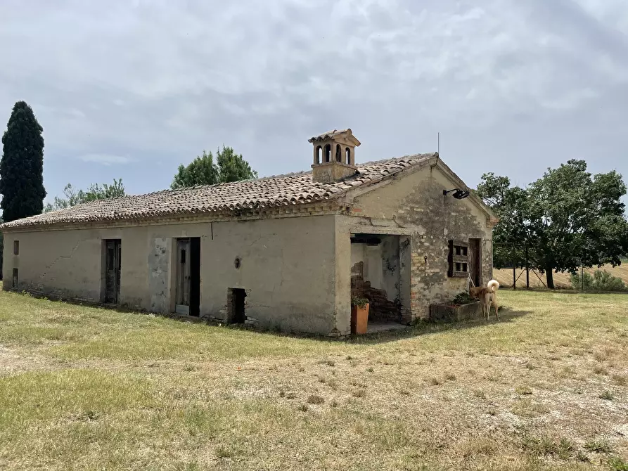 Immagine 23 di Rustico / casale in vendita  in Filottrano a Filottrano