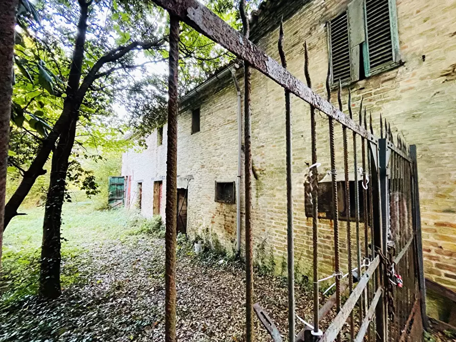 Immagine 9 di Rustico / casale in vendita  in Via Bastioni a Offagna