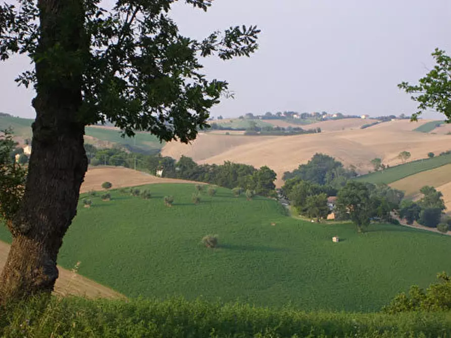 Immagine 30 di Rustico / casale in vendita  in CASTEL LEONE DI SUASA a Ostra Vetere