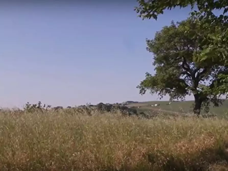 Immagine 16 di Rustico / casale in vendita  in CASTEL LEONE DI SUASA a Ostra Vetere