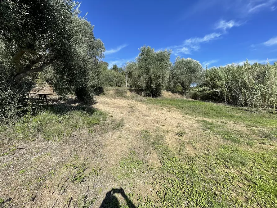Immagine 6 di Rustico / casale in vendita  in via fontanelle a Porto Sant'elpidio