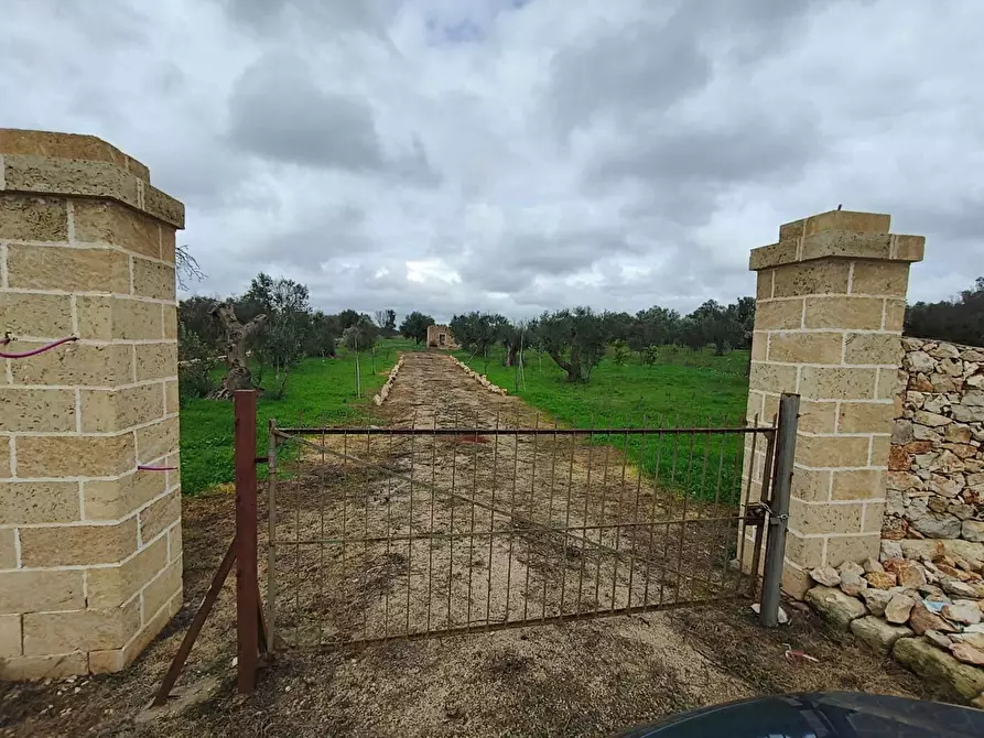 Immagine 2 di Terreno edificabile in vendita  in Contrada Curlo snc a Sannicola