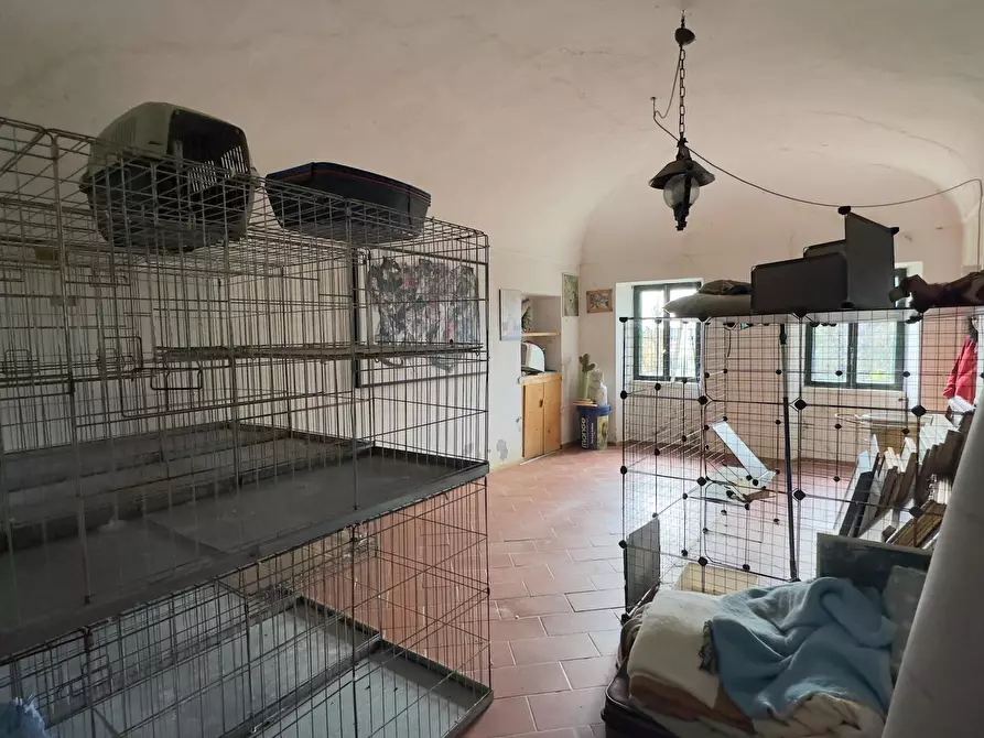 Immagine 20 di Rustico / casale in vendita  in via umberto 1 a Greggio